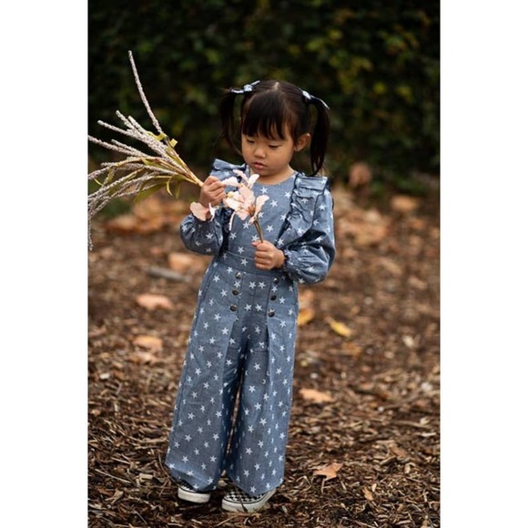 NWT Wren Amber Clothing Sarah Ruffle Long Sleeve Blouse: Chambray Star: Size 3 - Picture 2 of 3